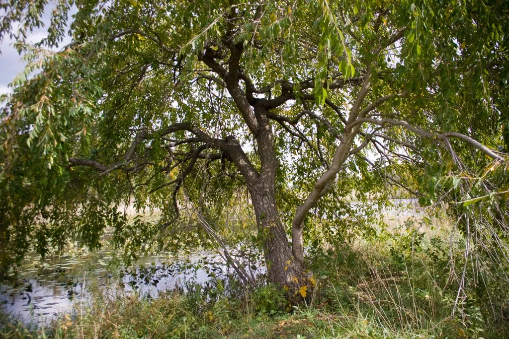 The Nature Inn At Bald Eagle