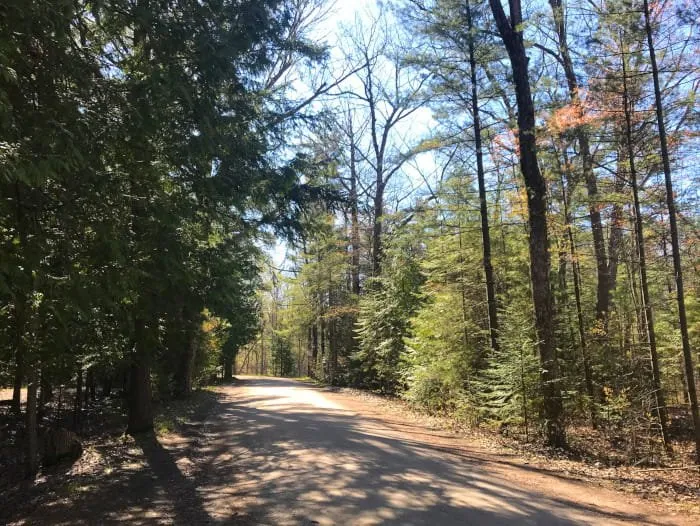 Ossineke State Forest Campground