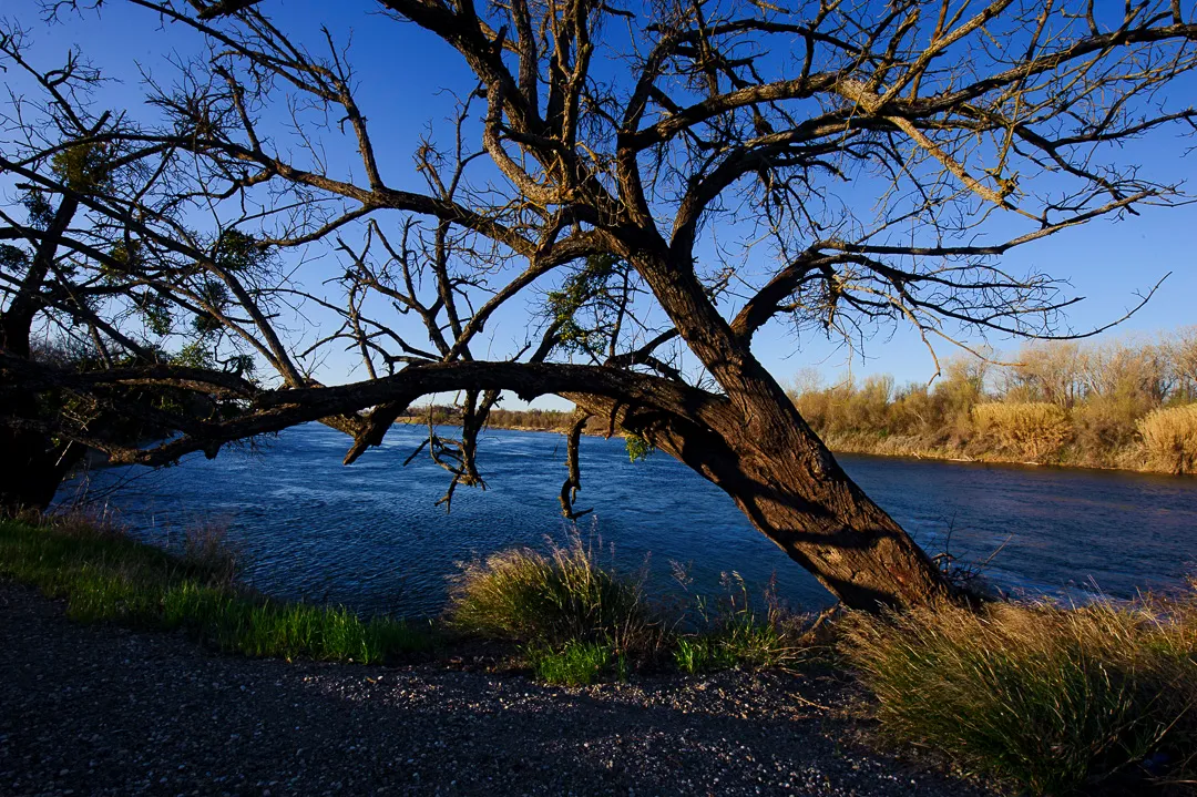 Irvine Finch Access Campground