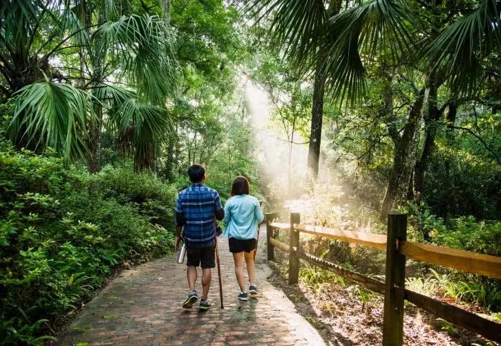 Rainbow Springs State Park Loop A