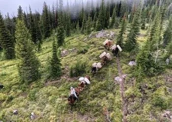 Spotted Bear Campground