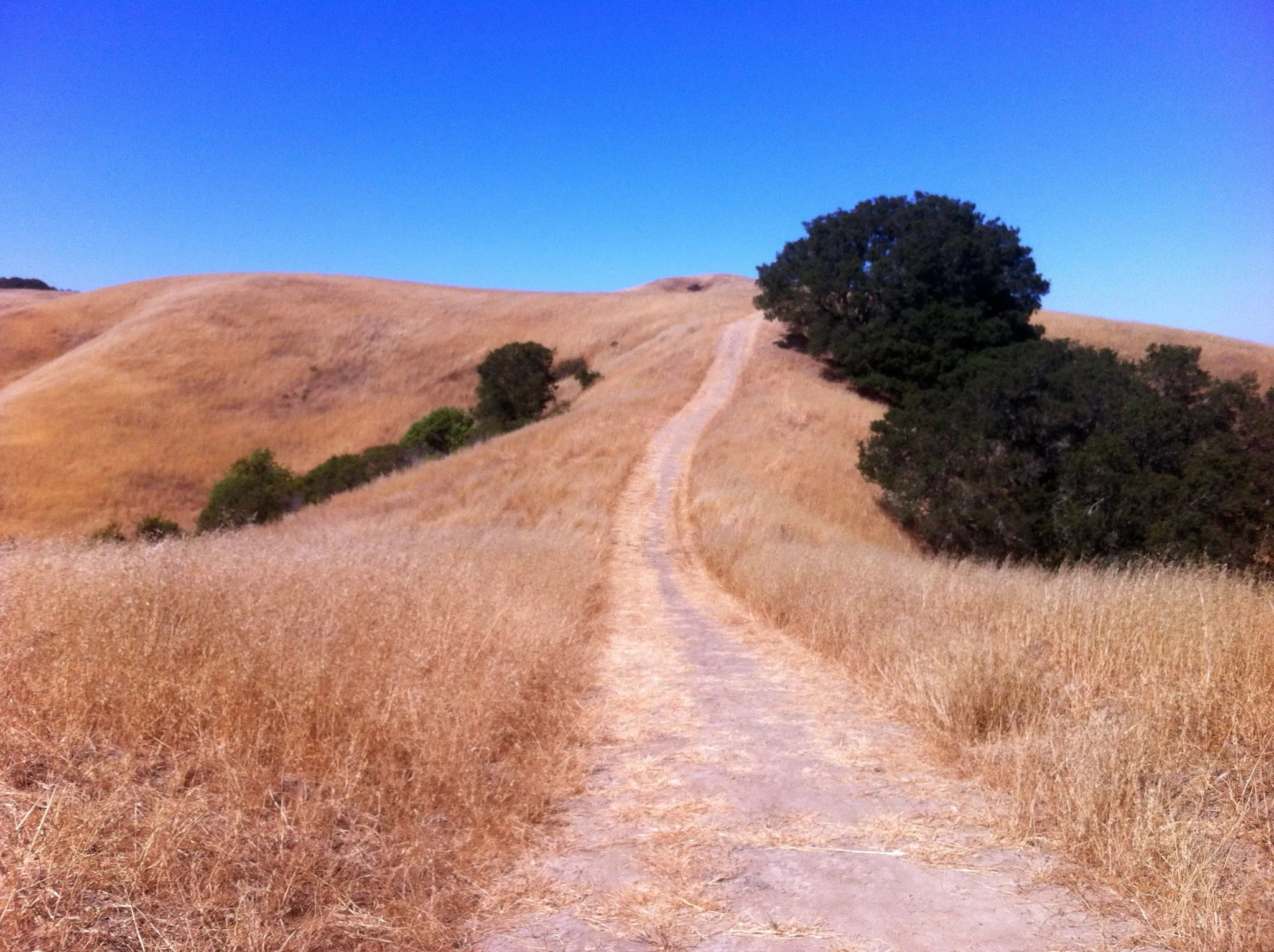 Briones Regional Park