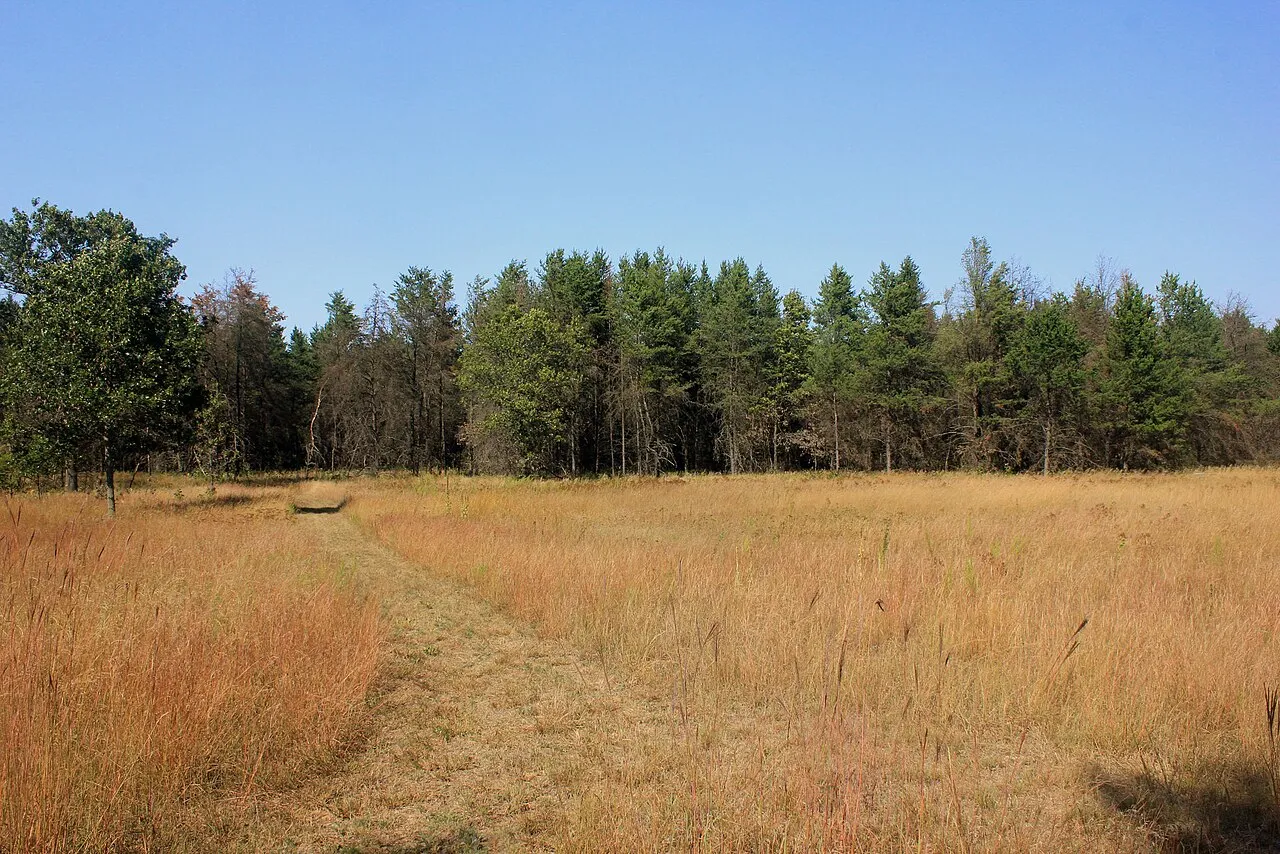 Mill Bluff State Park