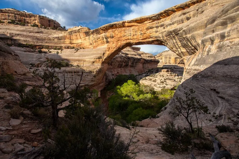 Natural Bridges Campground