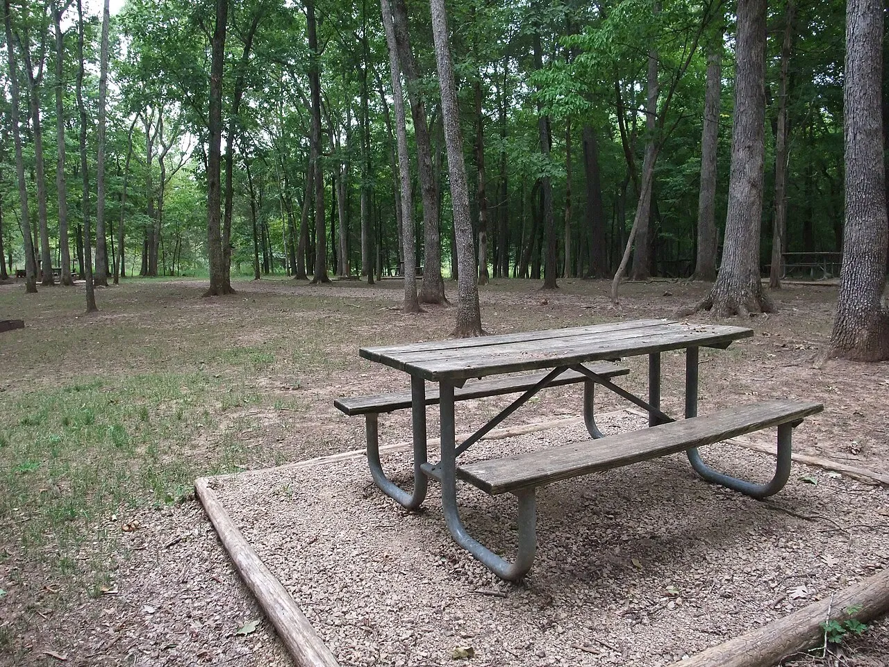 Campground (Sites 64-110)