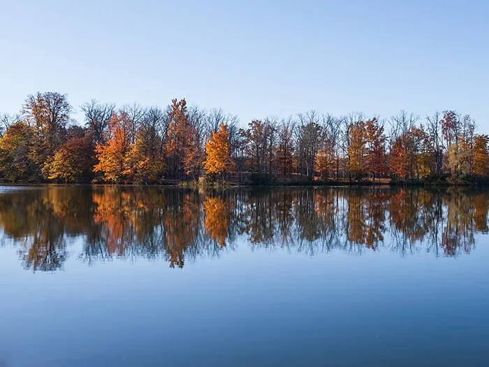 Ionia Equestrian Campground
