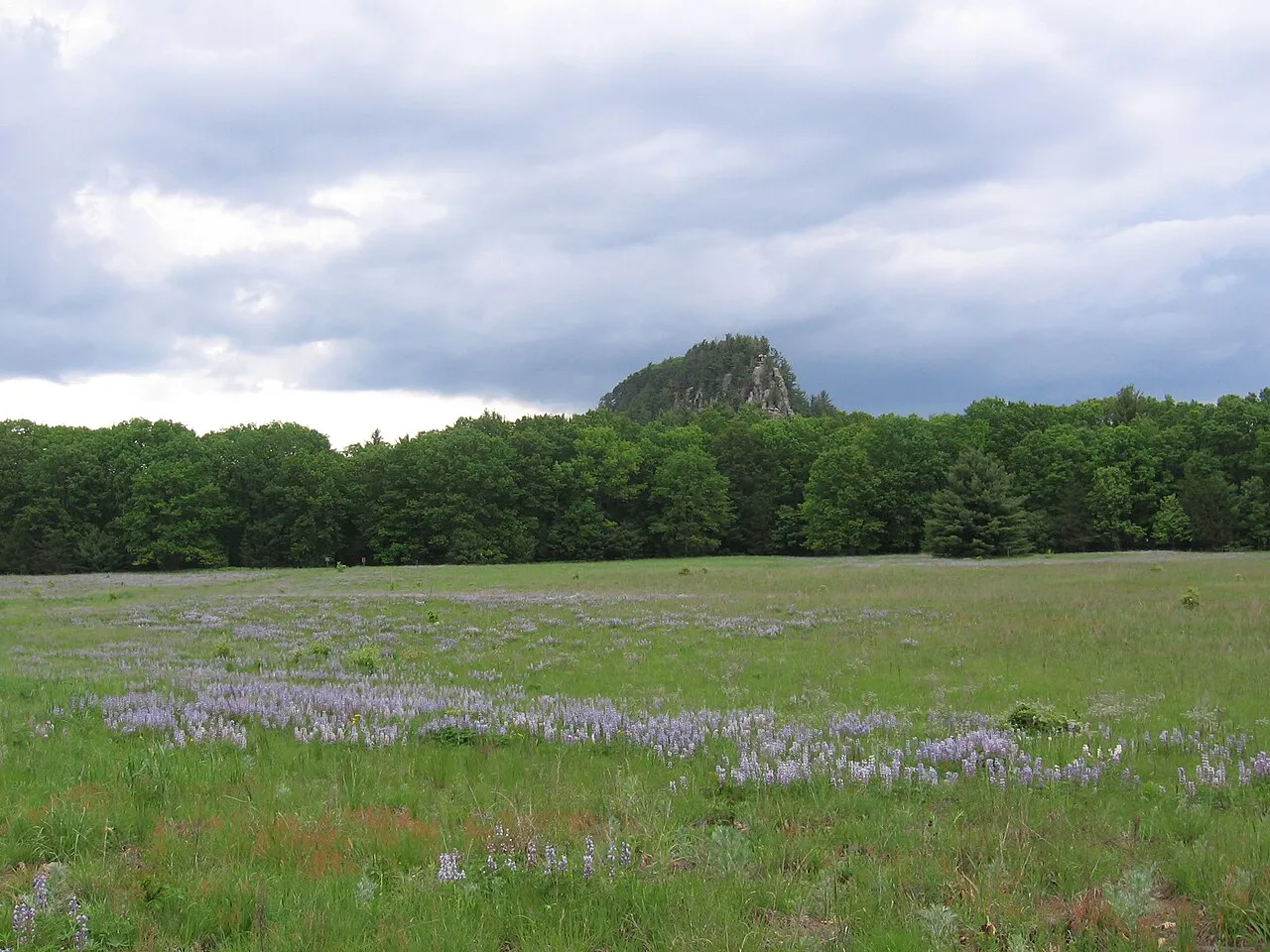 Roche-A-Cri State Park
