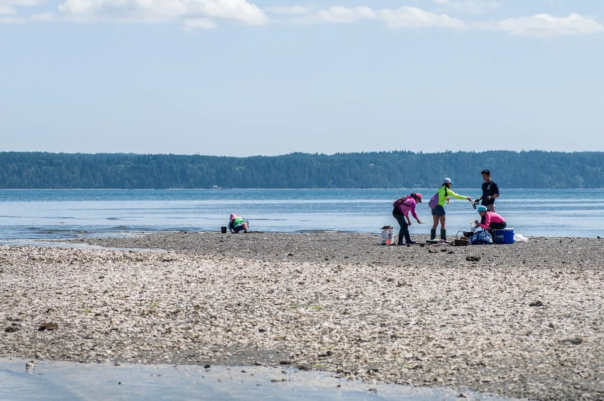 Dosewallips State Park
