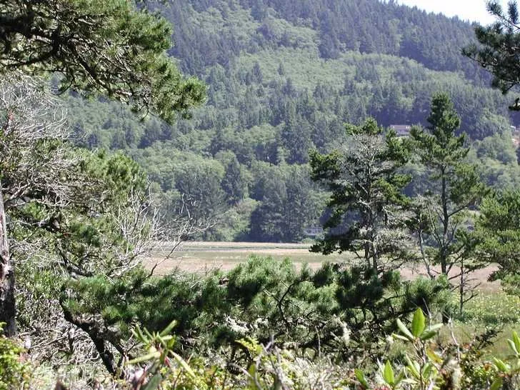Maud Williamson State Recreation Site