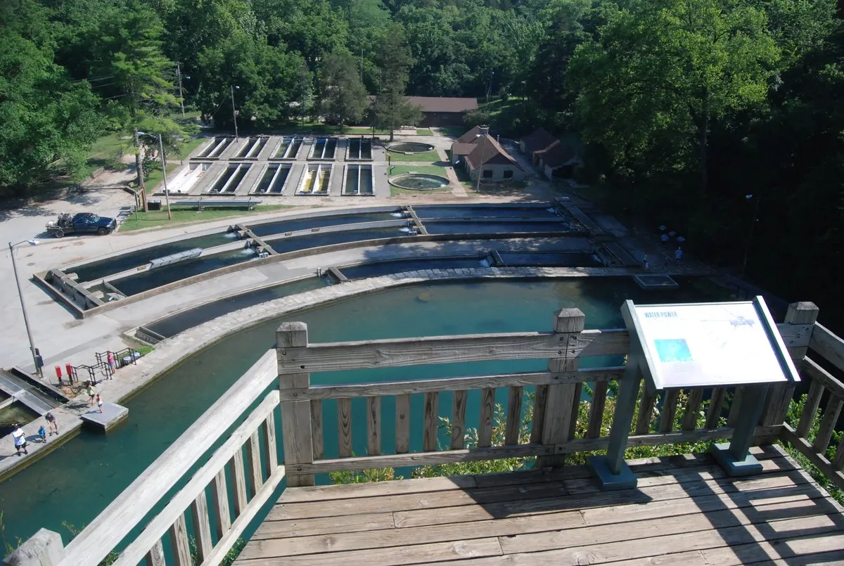 Campground 3 (Sites 155-186)