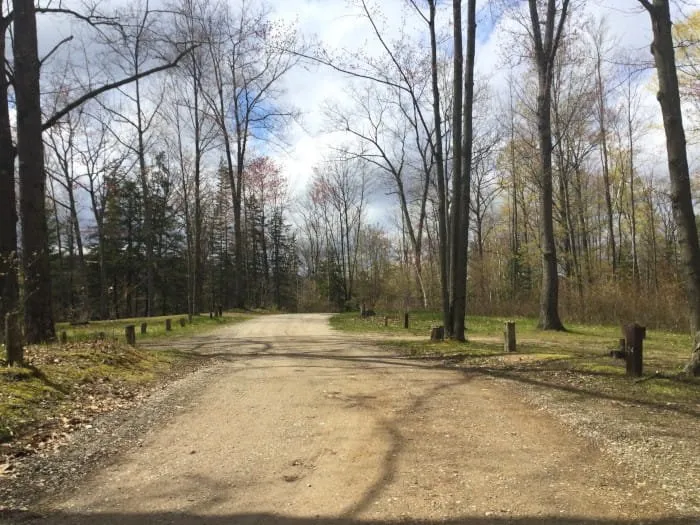Trout Lake State Forest Campground