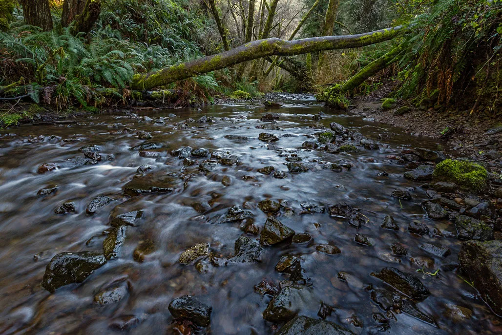 Van Damme State Park Campground
