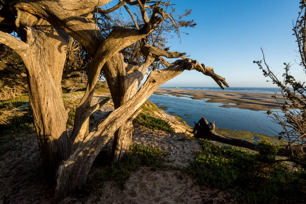 Oceano Campground