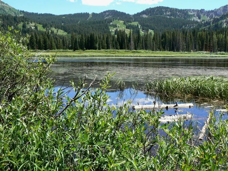 Kangaroo Lake Campground