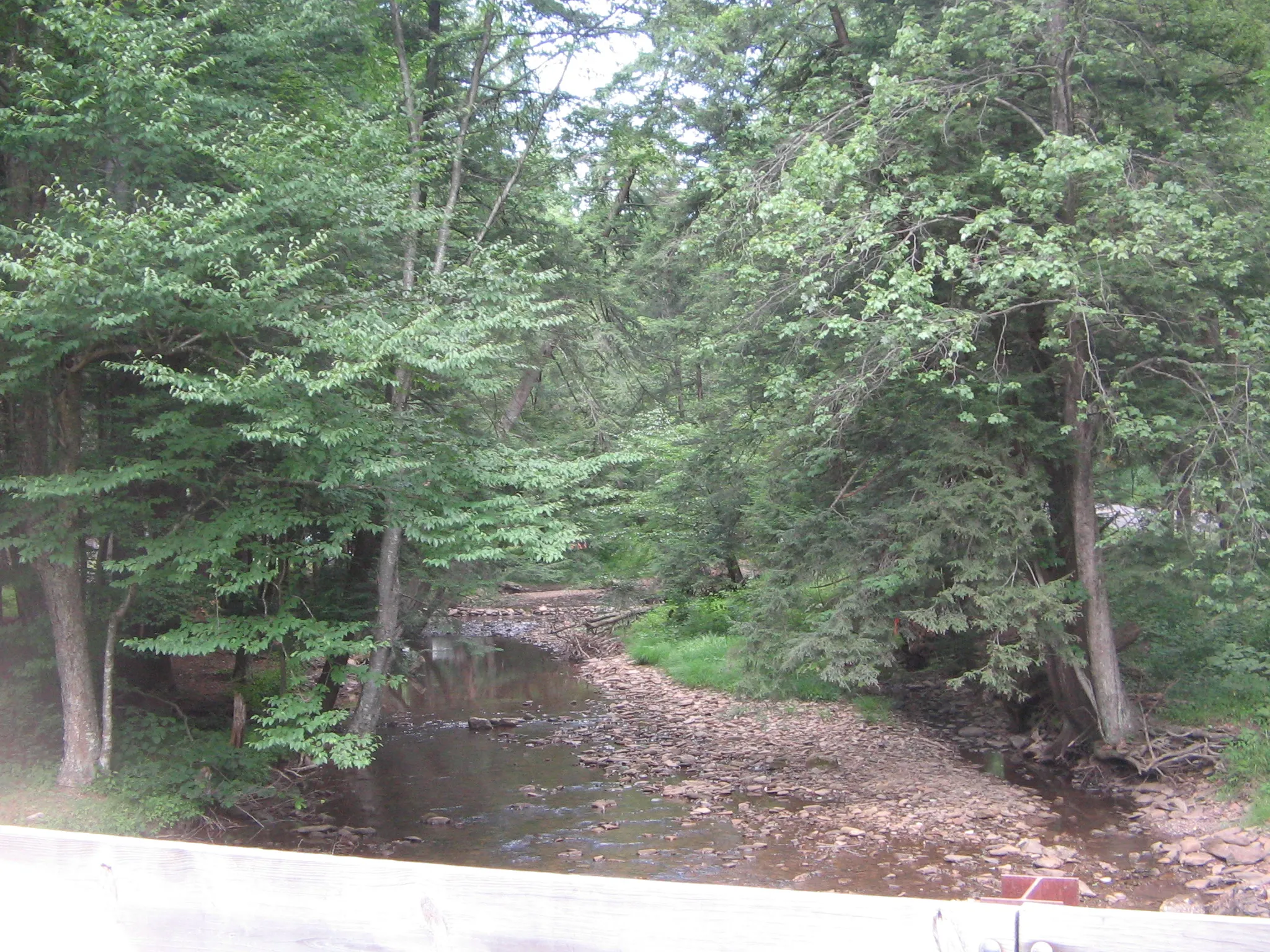 Hyner Run State Park