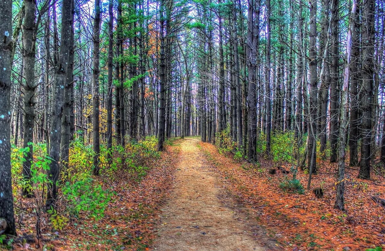 Wildcat Mountain State Park
