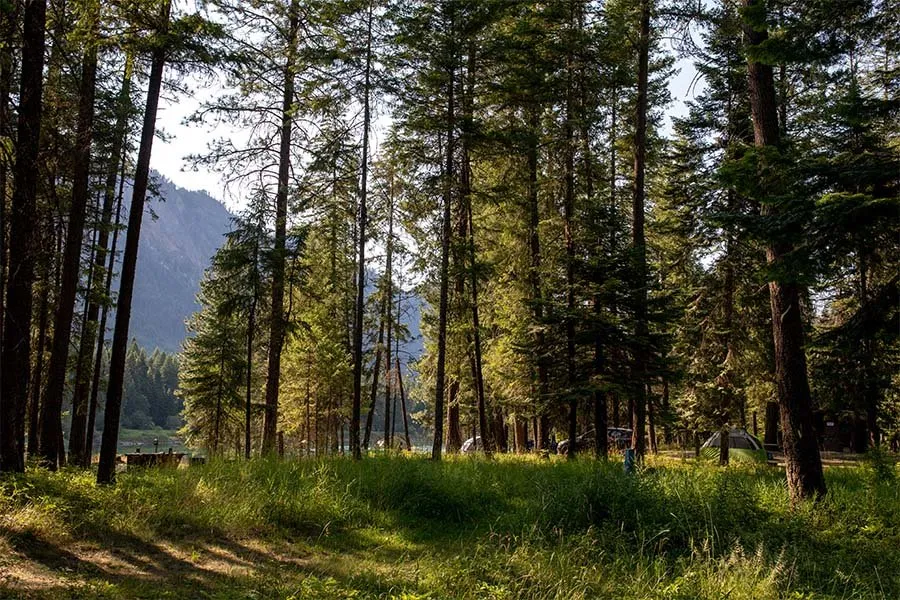 Thompson Falls State Park