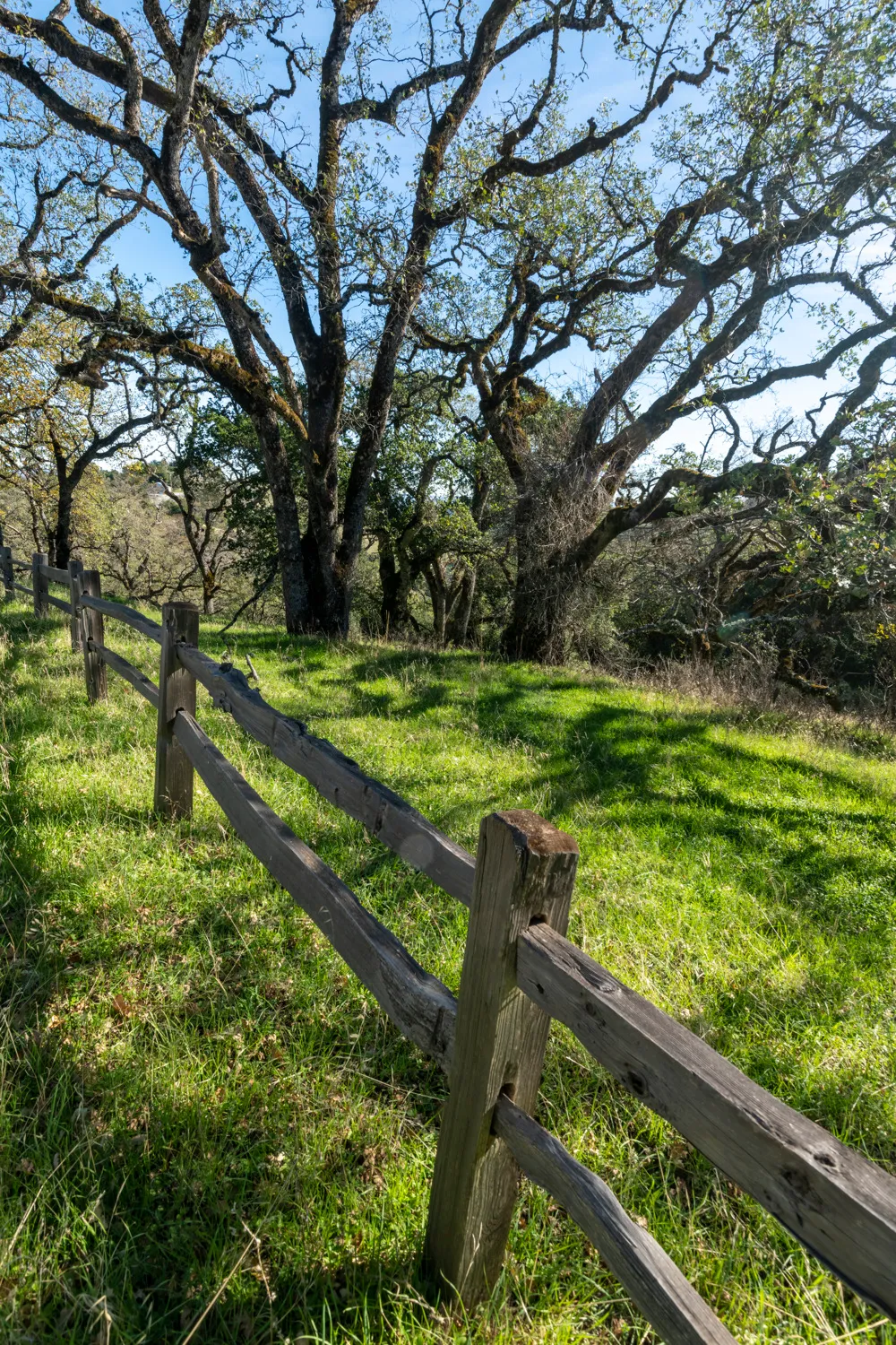 Oak Point Campground
