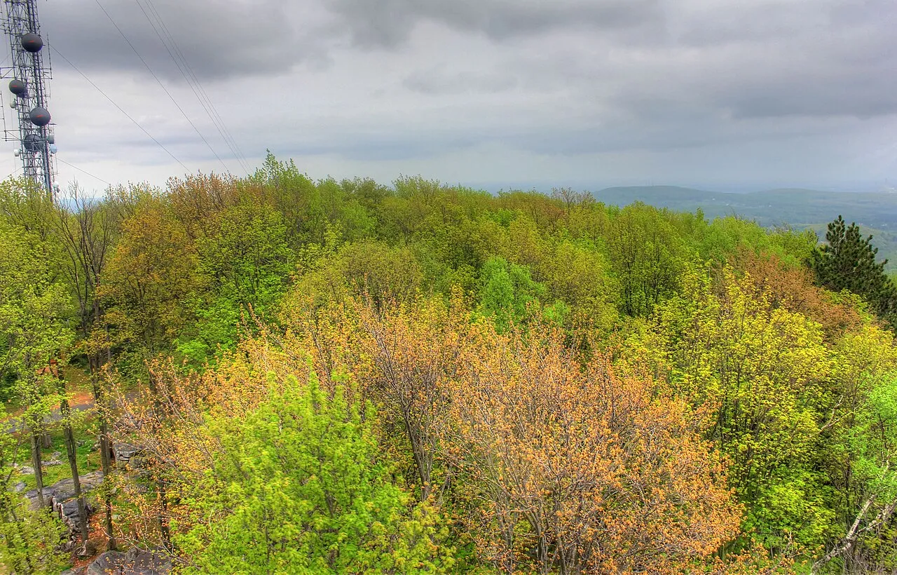 Rib Mountain State Park