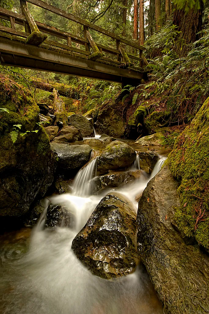 Pantoll Campground