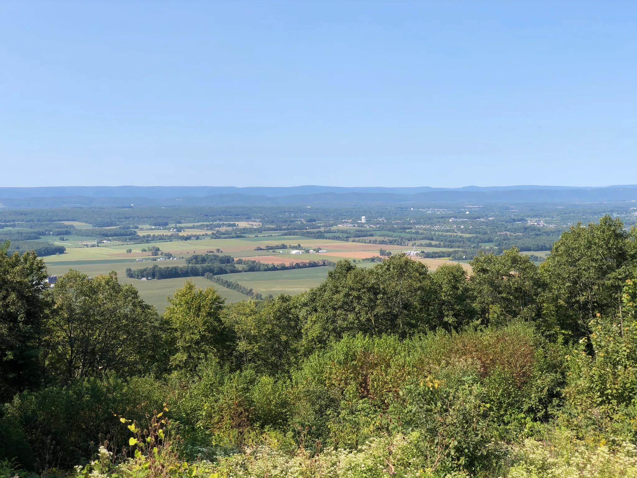 Rothrock State Forest