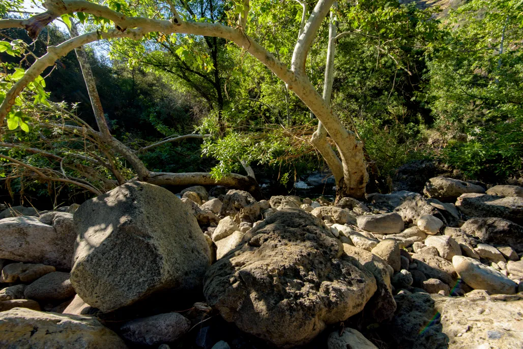 Malibu Creek State Park Campground