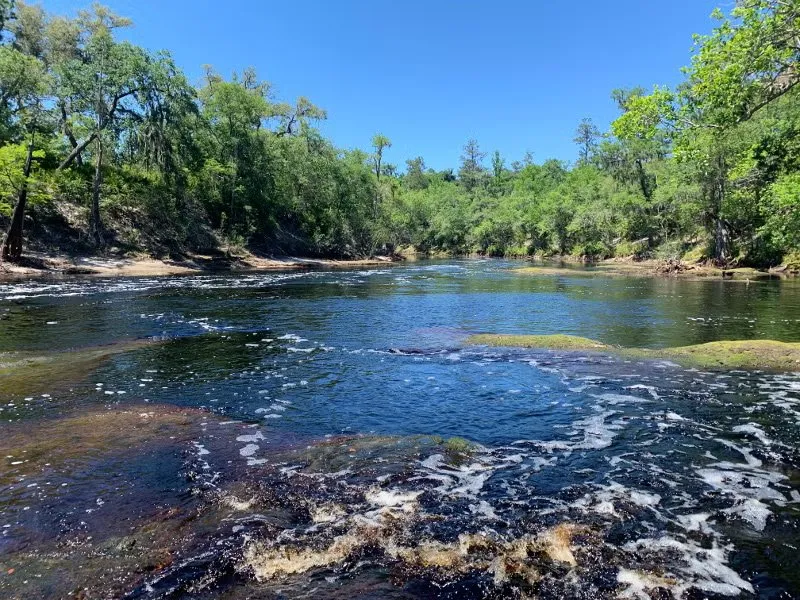 Suwannee