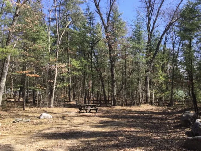 Carrieville State Forest Campground