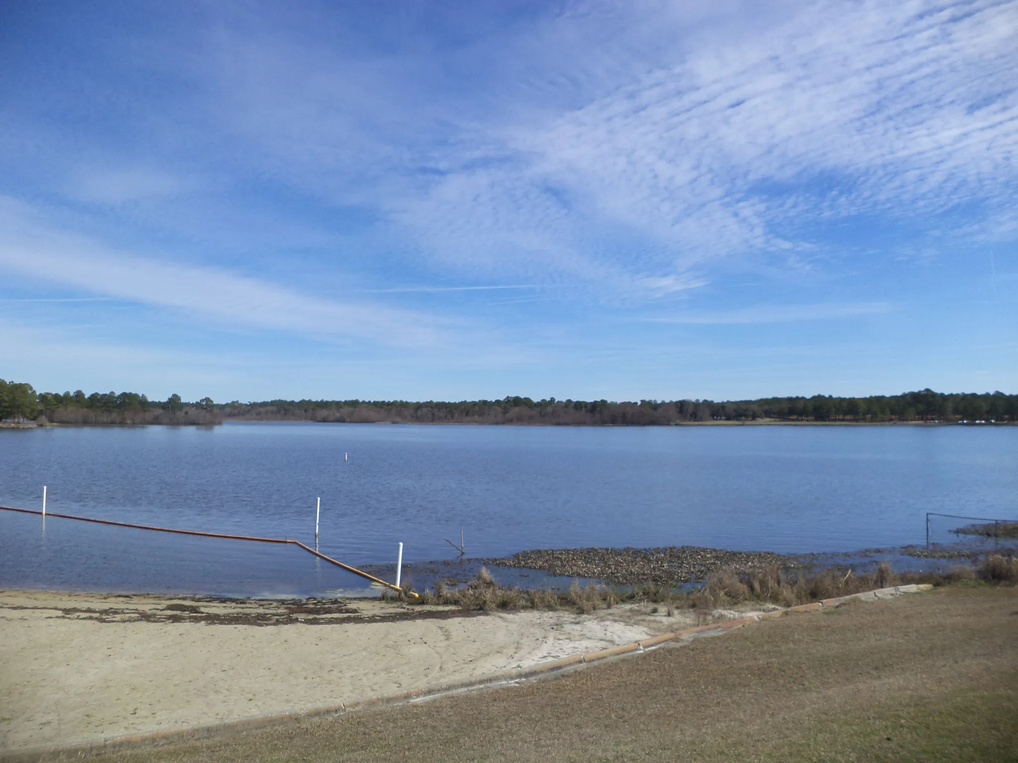 Reed Bingham State Park