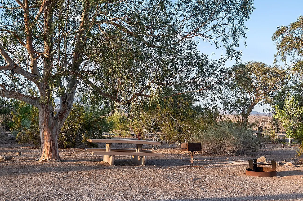 Cottonwood Cove Rv Park