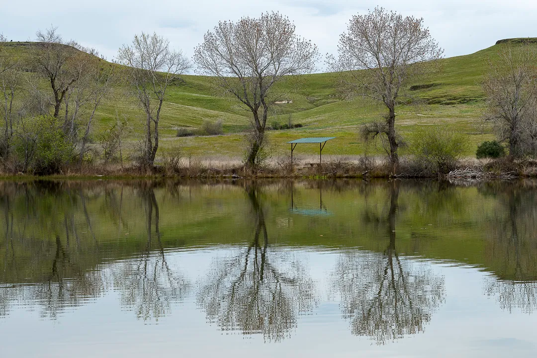 Loafer Creek Campground