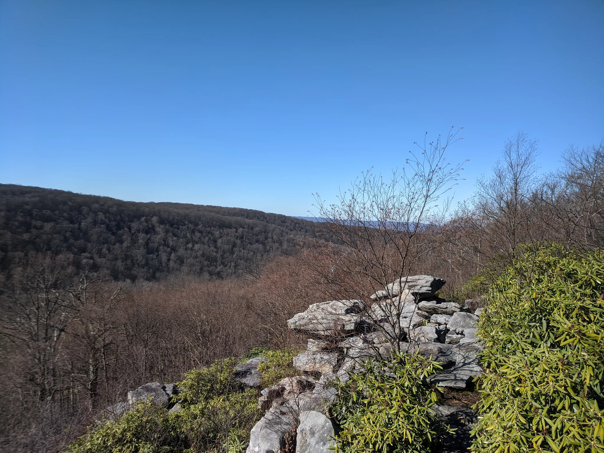 Laurel Summit State Park