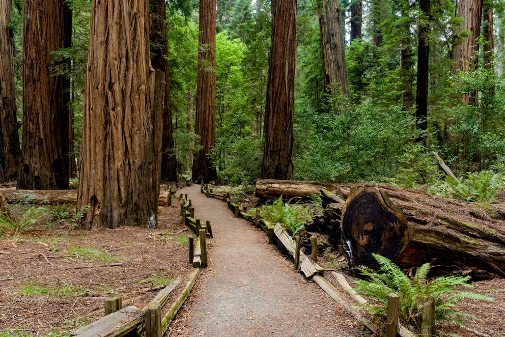 Huckleberry Campground