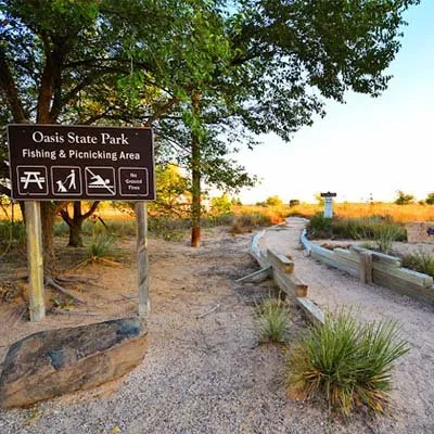 Oasis