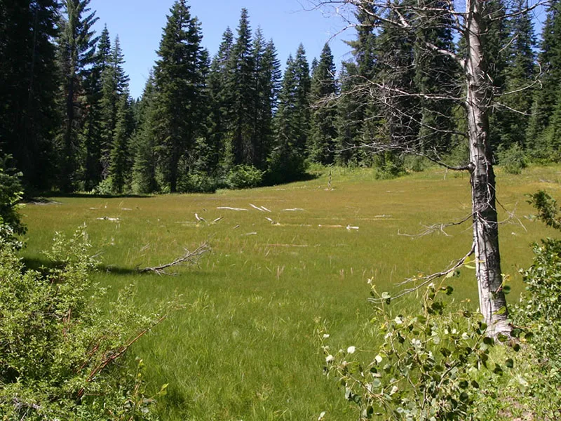 Faucherie Group Campground