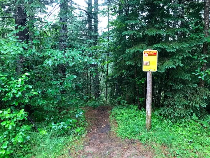 High Bridge State Forest Campground