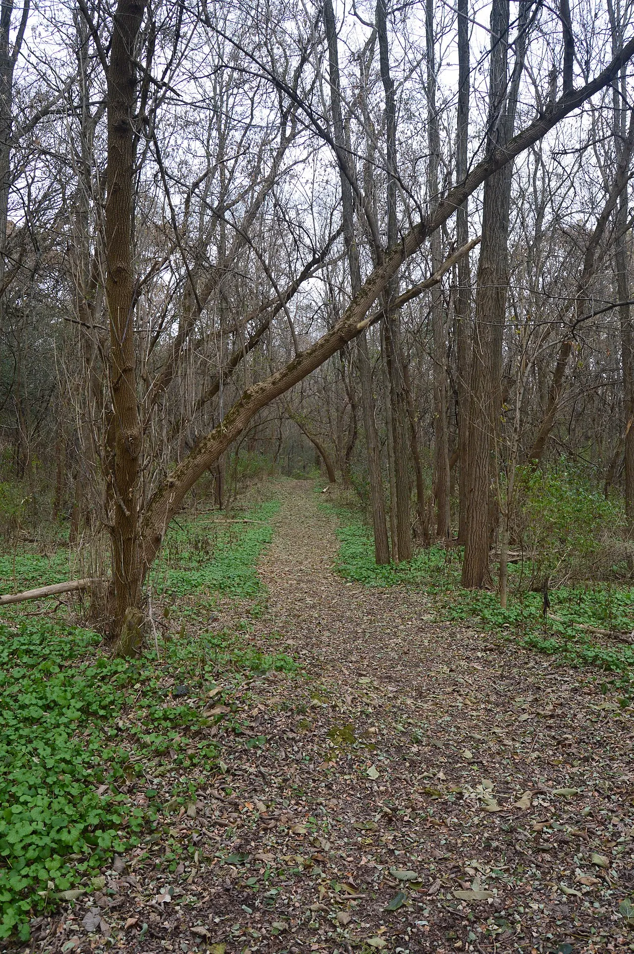 Kettle Moraine State Forest - Southern Unit