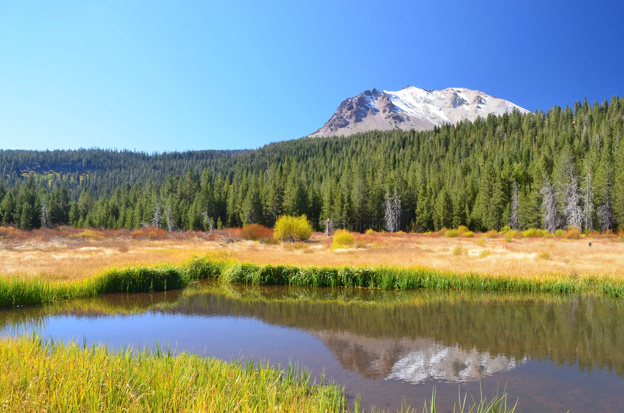 Lost Creek Group
