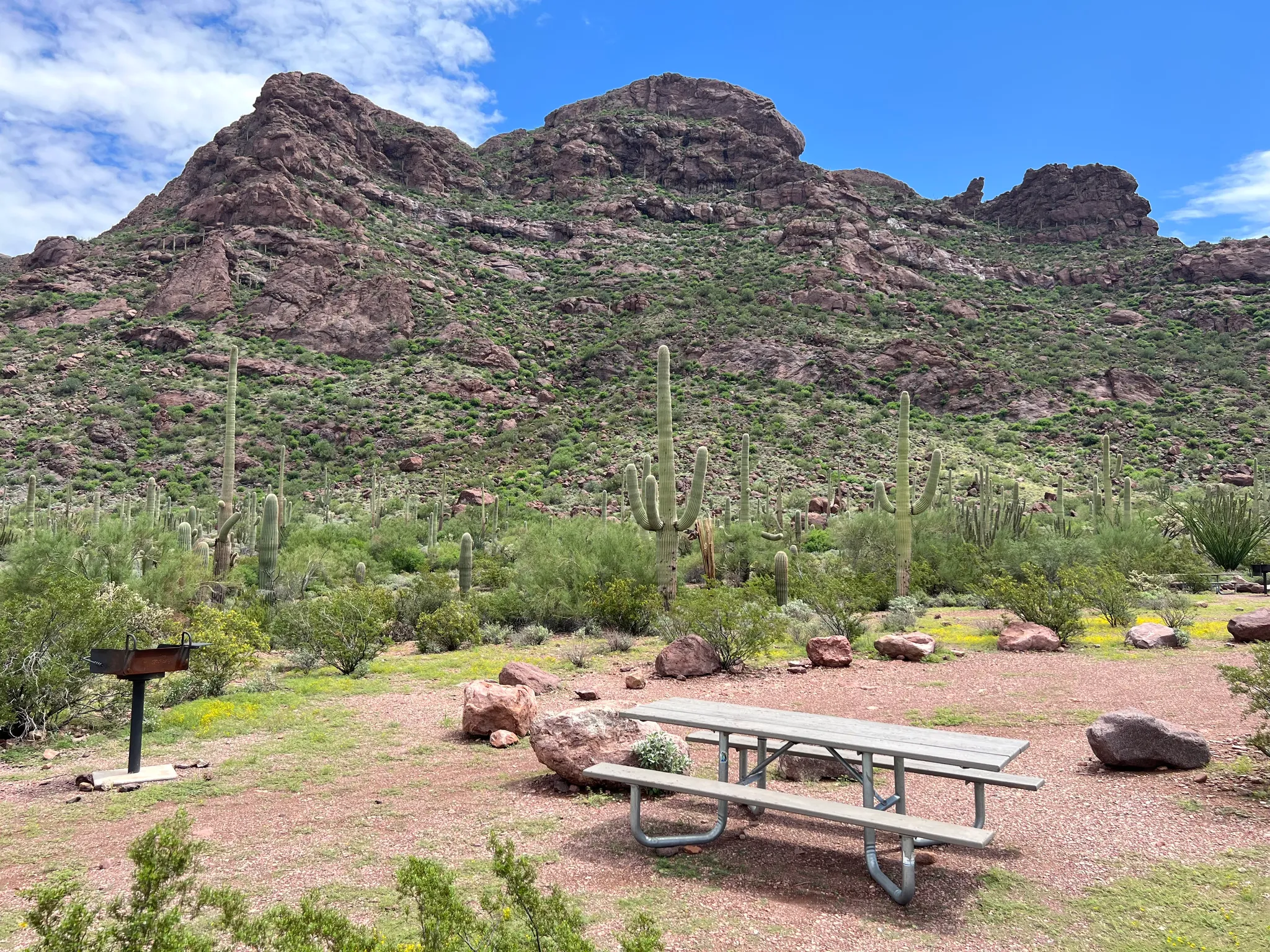 Alamo Canyon Primitive Campground 