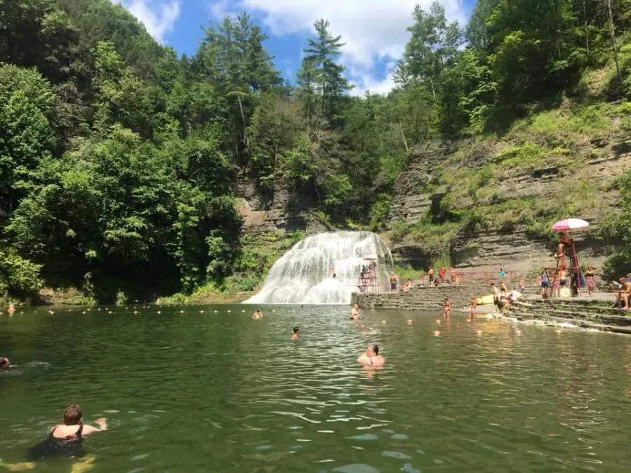 Robert H Treman State Park