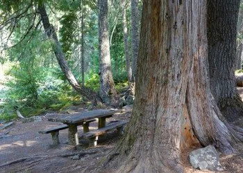 Falls Creek Campground