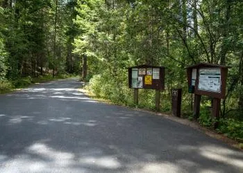 Trout Creek Campground