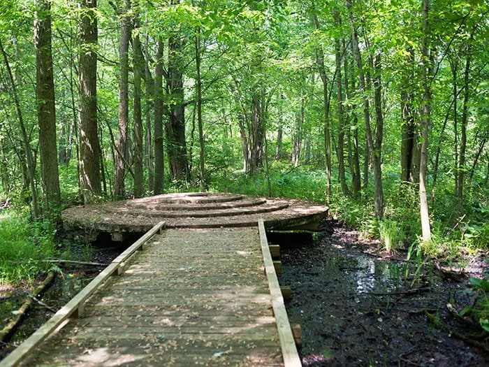 Reed & Green Bridge State Forest Campground