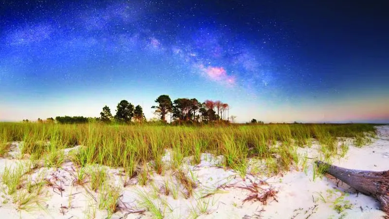 Dr. Julian G. Bruce St. George Island State Park Campground 2