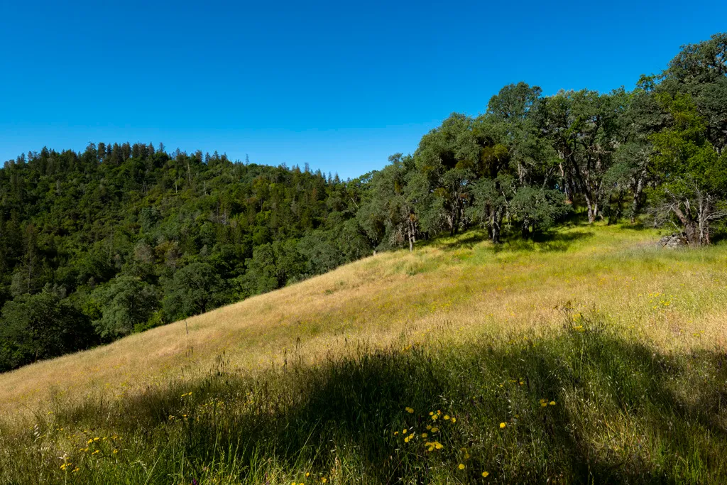 Manzanita Point Hike-In Group Campground