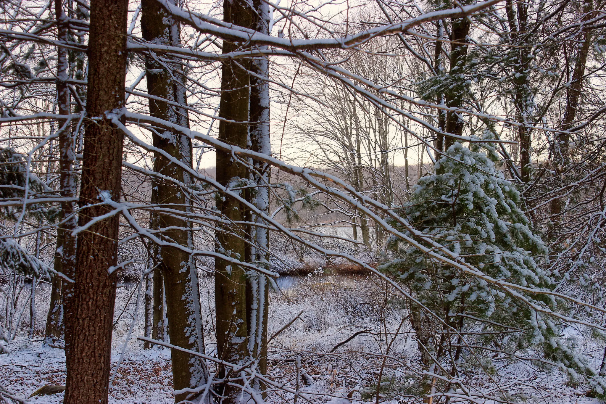Gouldsboro State Park