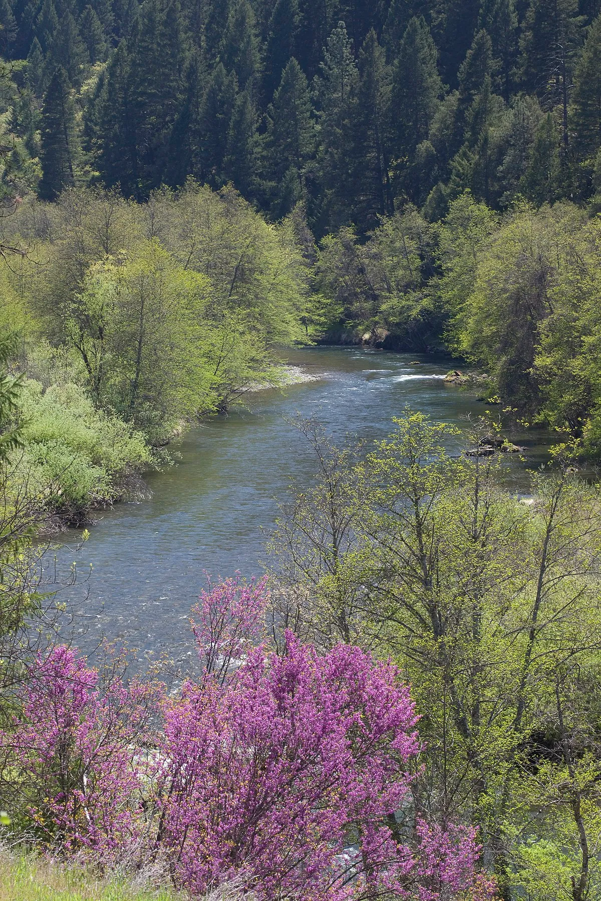 Trinity River Campground