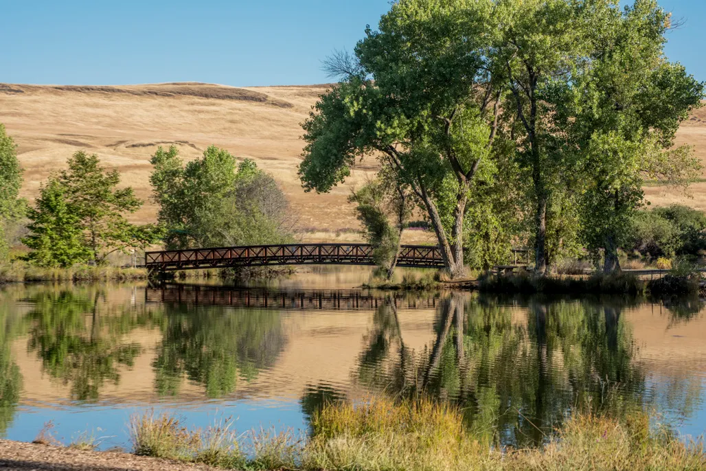 Loafer Creek Campground