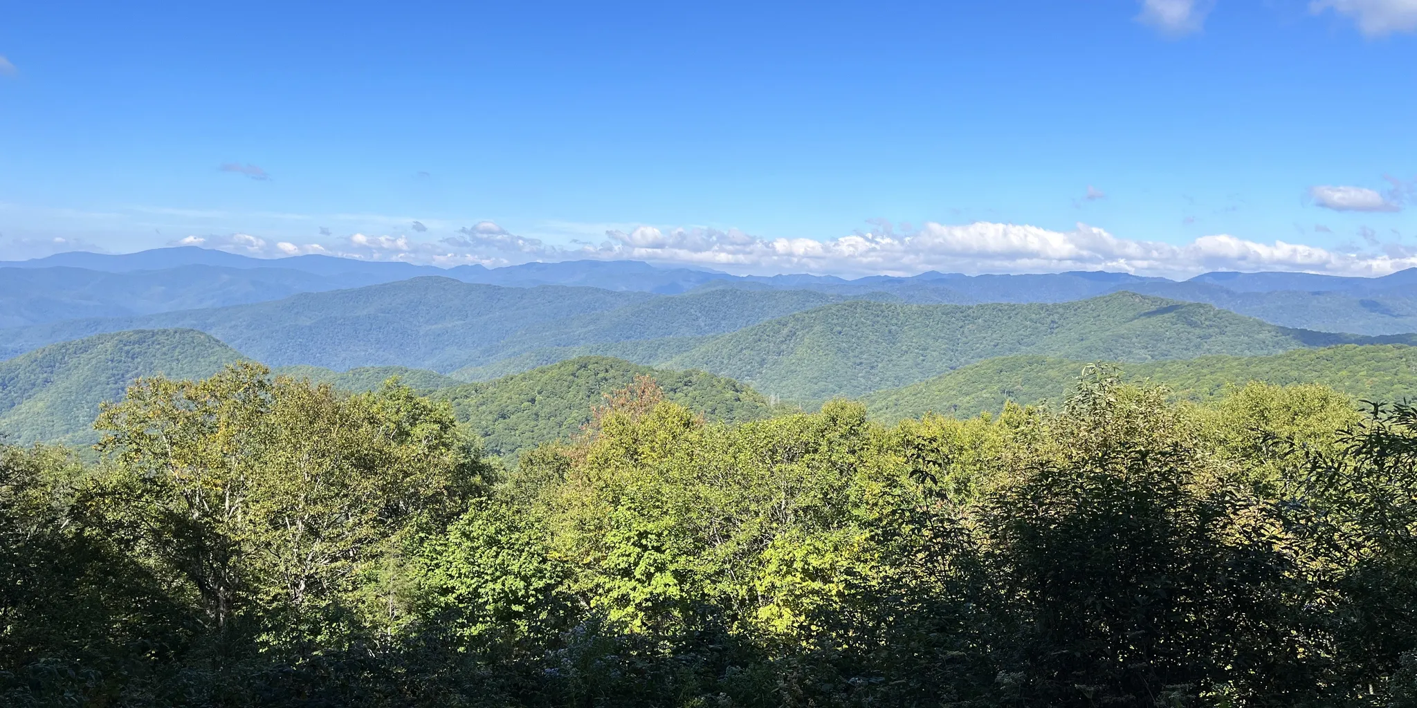 Cataloochee Campground