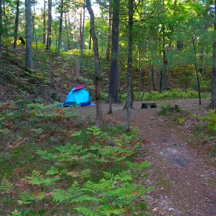 White Pine Backcountry Campground
